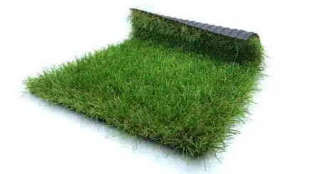 Modèle de pelouse artificielle : Tentation 42 mm - forme vague